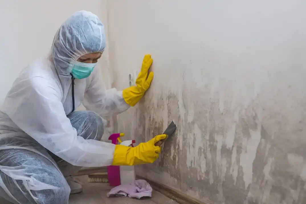 water damage restoration service Westchester Creek
